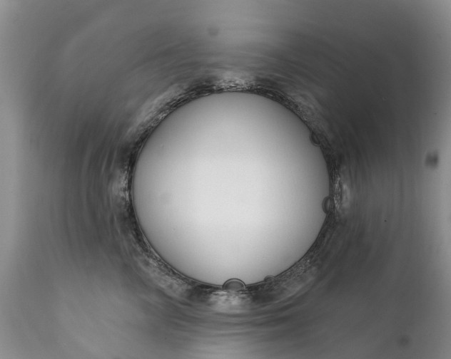 X0000111380714200907241310