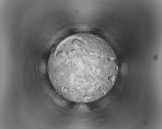 X0000111380715200907241310