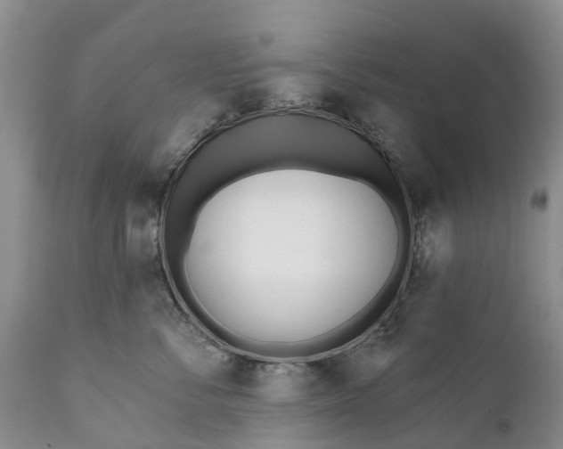 X0000111380716200907241310