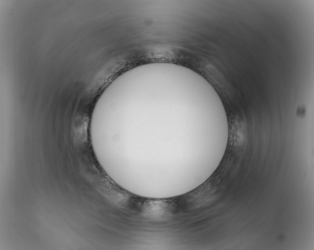 X0000111380717200907241309