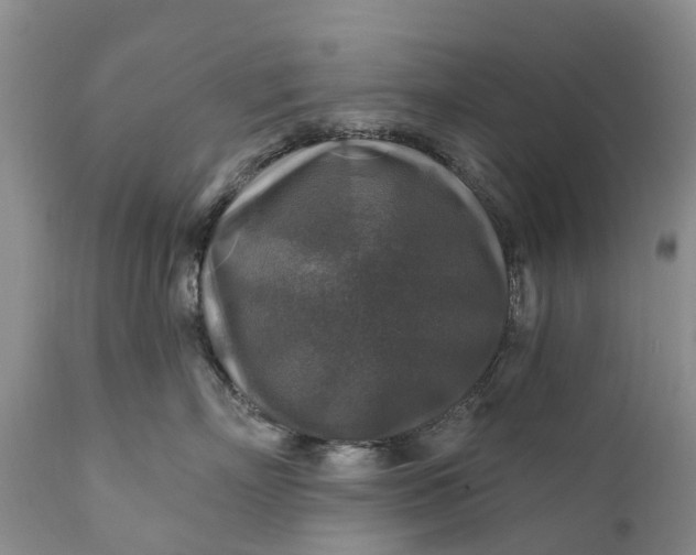 X0000111380718200907241309