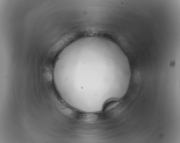 X0000111380719200907241309