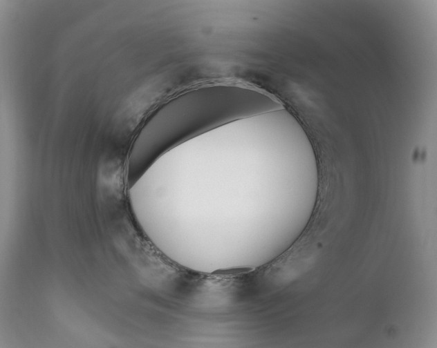 X0000111380720200907241309