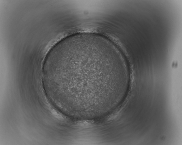 X0000111380721200907241309