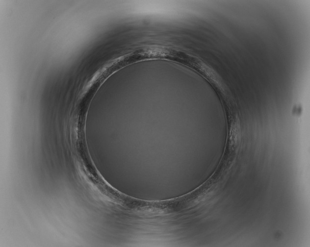 X0000111380722200907241309