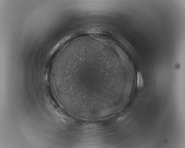 X0000111380723200907241309