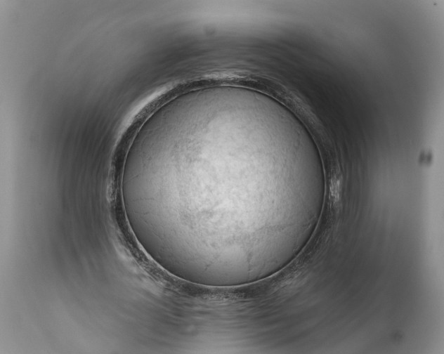 X0000111380724200907241309