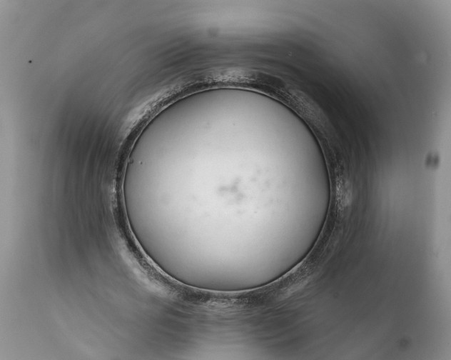 X0000111380725200907241309