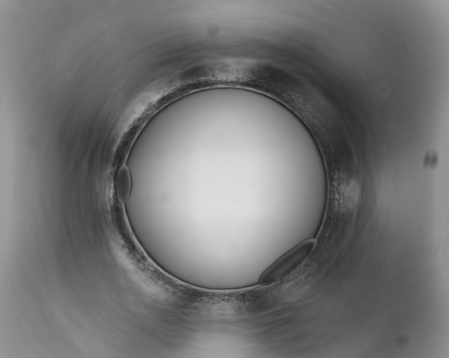 X0000111380726200907241309