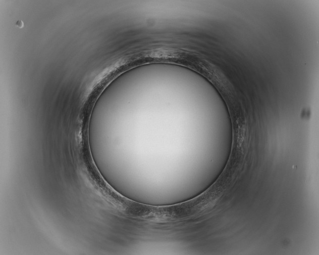 X0000111380727200907241309