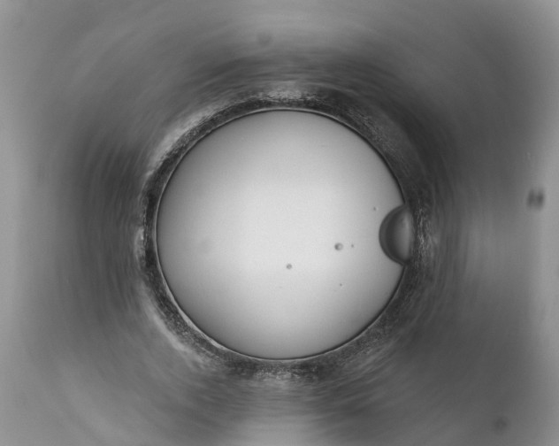 X0000111380728200907241309