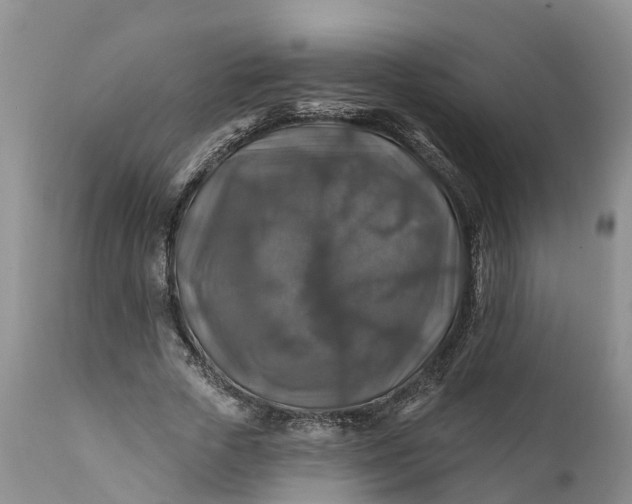 X0000111380729200907241309