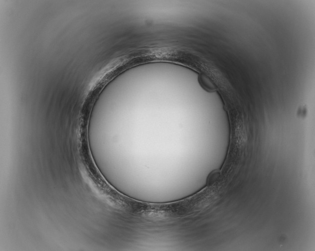 X0000111380730200907241309