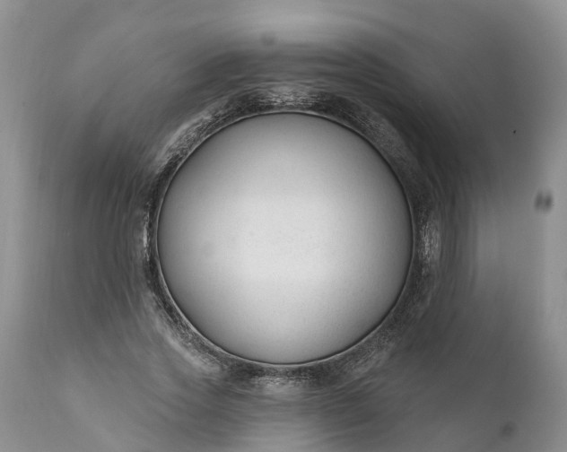 X0000111380733200907241309