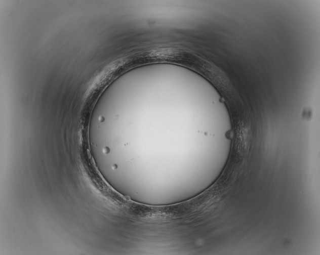 X0000111380734200907241309