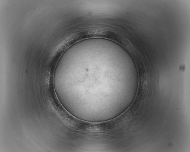 X0000111380735200907241309