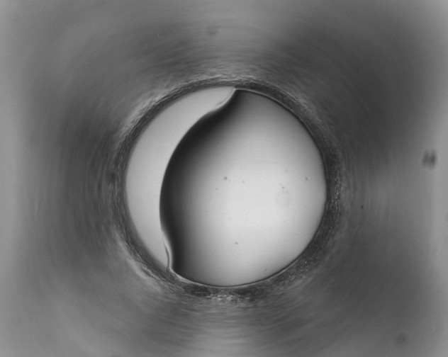 X0000111380736200907241309