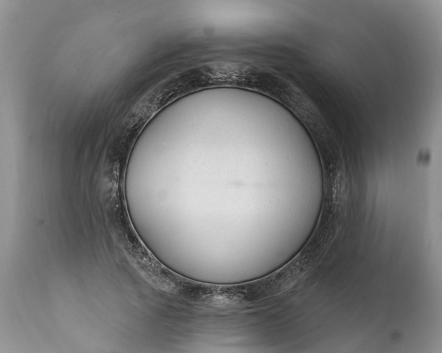 X0000111380737200907241309