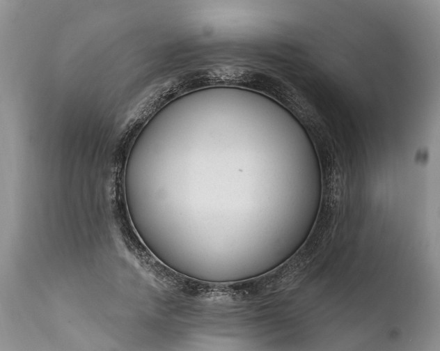 X0000111380738200907241309