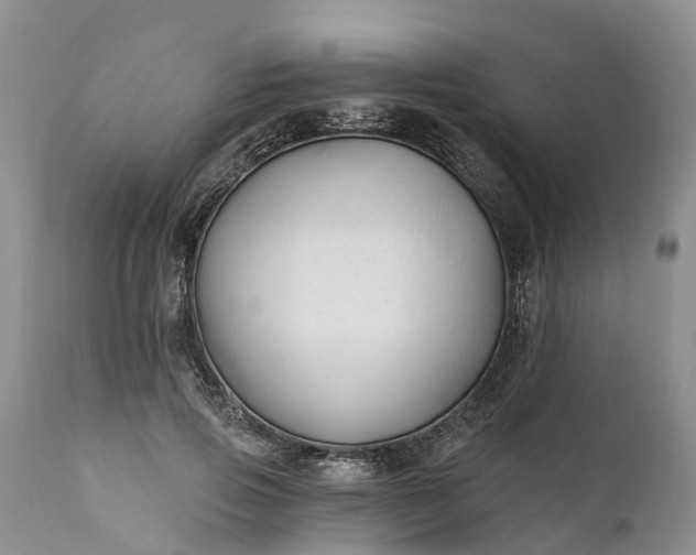 X0000111380741200907241309