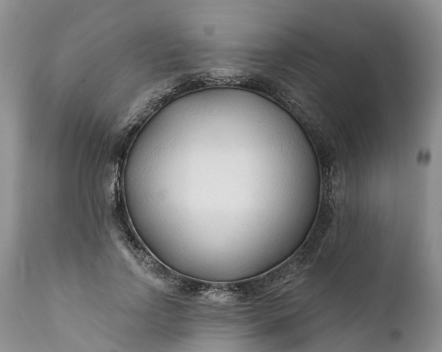 X0000111380742200907241309