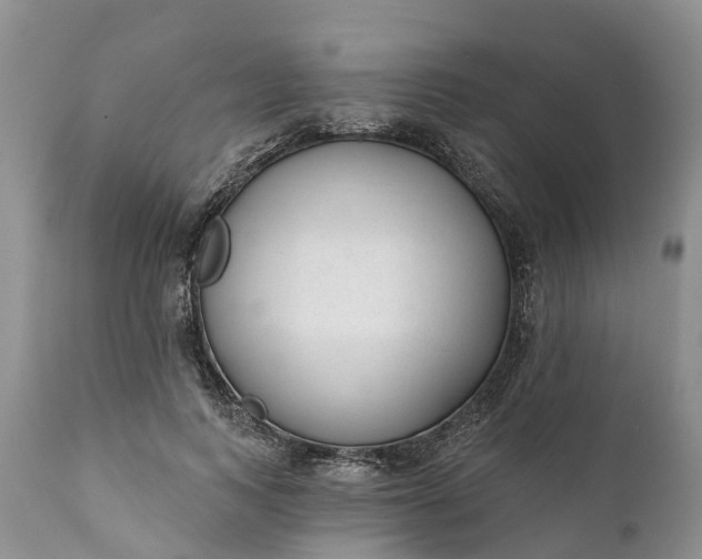 X0000111380743200907241309