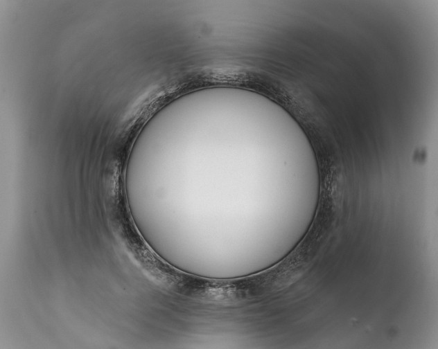 X0000111380744200907241309