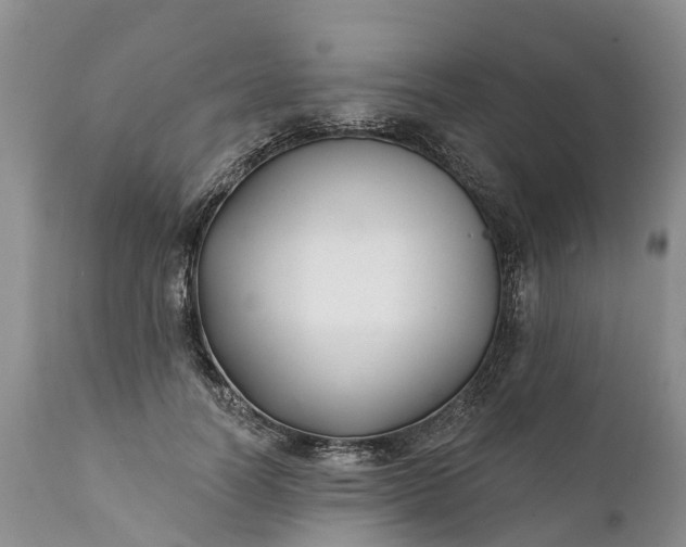 X0000111380746200907241309