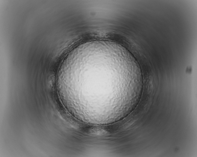 X0000111380747200907241309