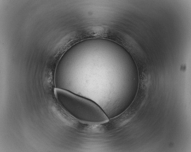 X0000111380748200907241309