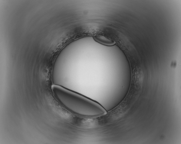 X0000111380750200907241309