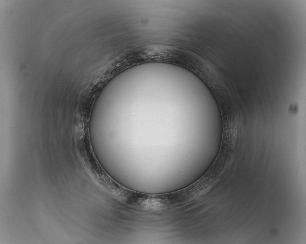 X0000111380751200907241309