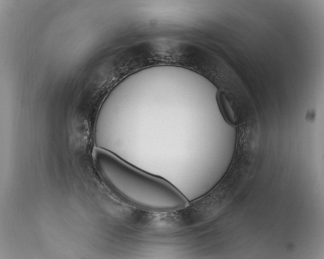 X0000111380752200907241309