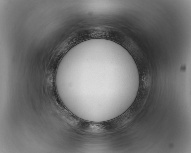 X0000111380753200907241309