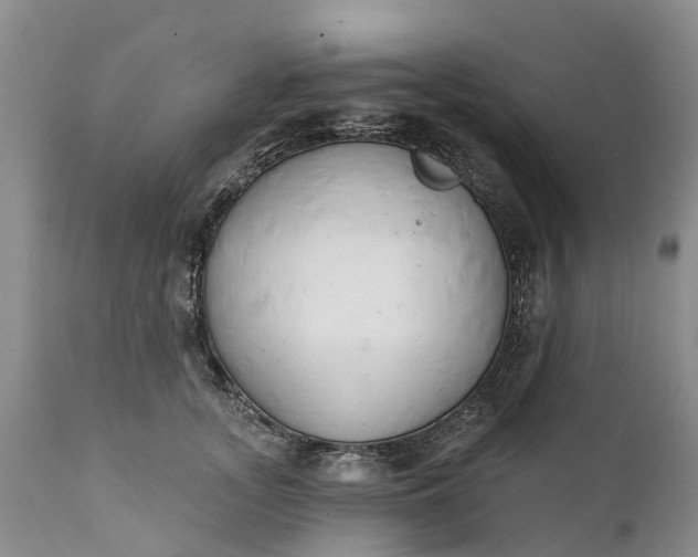 X0000111380755200907241309