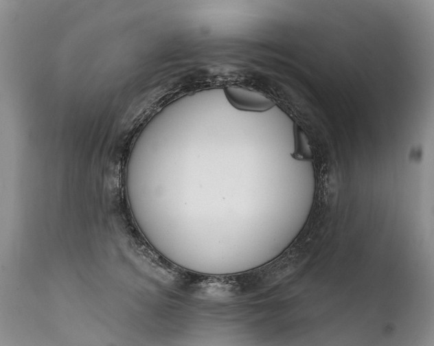 X0000111380756200907241309