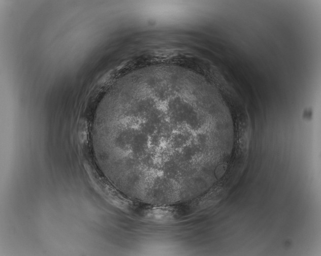 X0000111380758200907241309