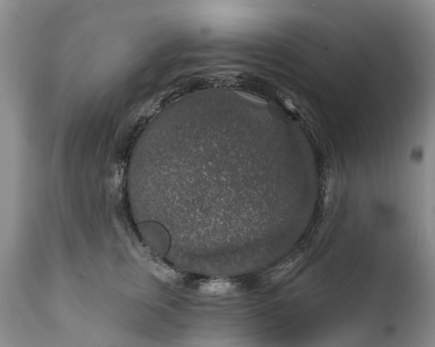 X0000111380759200907241309