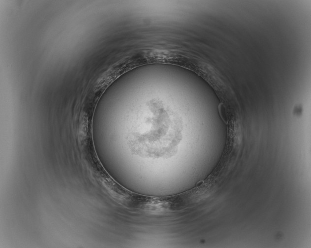 X0000111380760200907241309