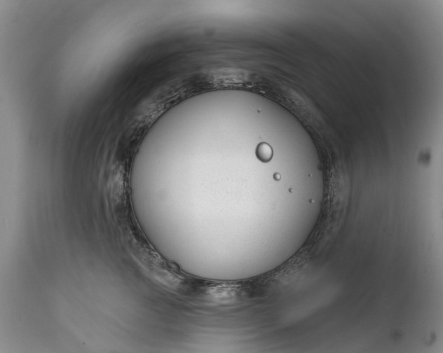 X0000111380761200907241309