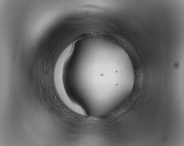 X0000111380762200907241309