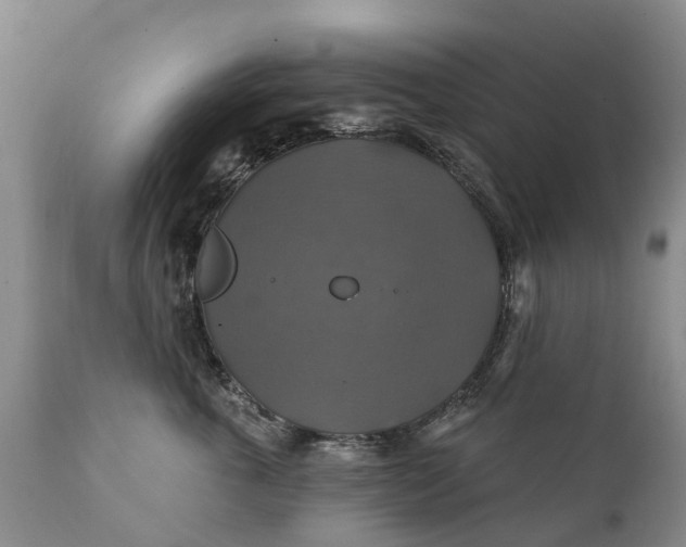 X0000111380763200907241309