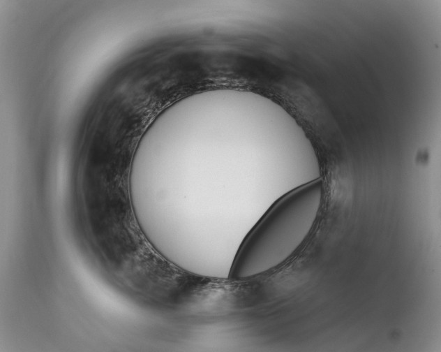 X0000111380764200907241309