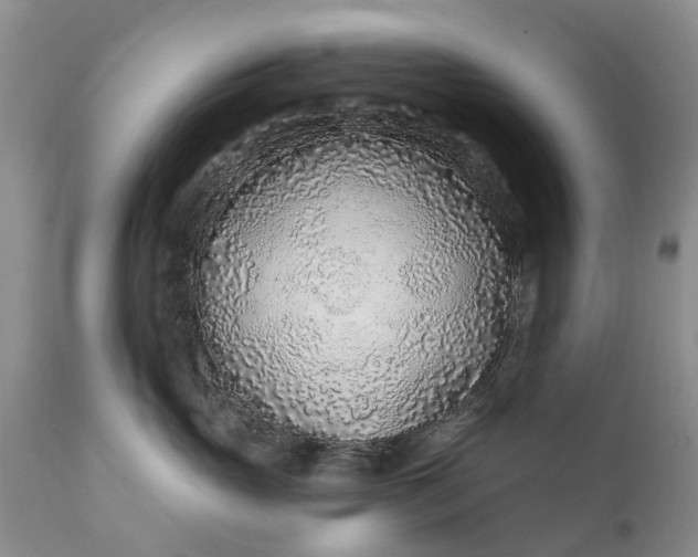 X0000111380765200907241309