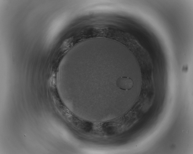 X0000111380766200907241309