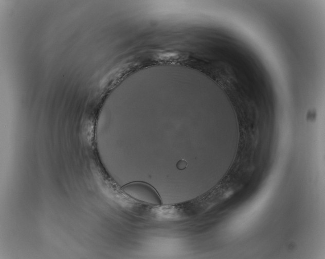 X0000111380767200907241309