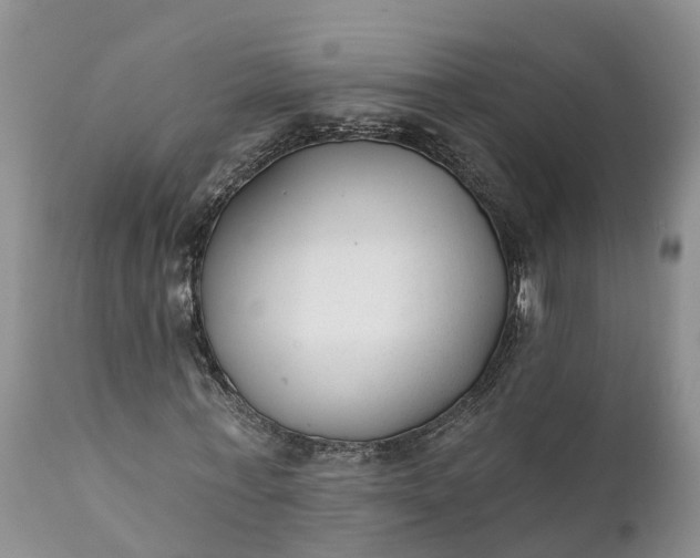 X0000111380771200907241309