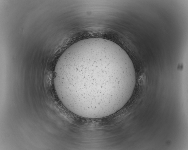 X0000111380772200907241309