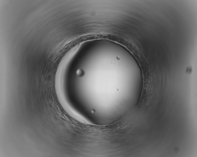 X0000111380773200907241309