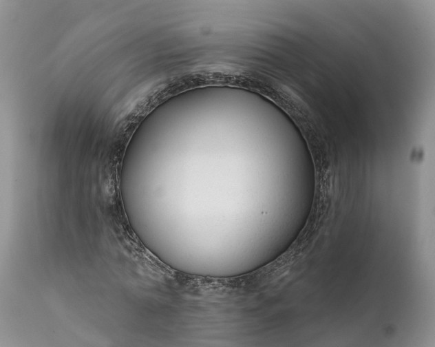 X0000111380774200907241309